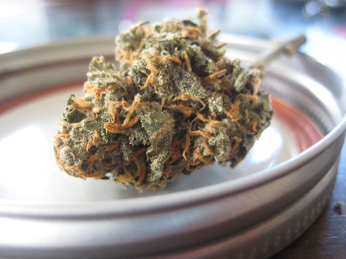 Welche Auswirkungen hat die Legalisierung von Cannabis auf die Gesellschaft?