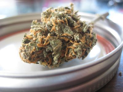 Welche Auswirkungen hat die Legalisierung von Cannabis auf die Gesellschaft?