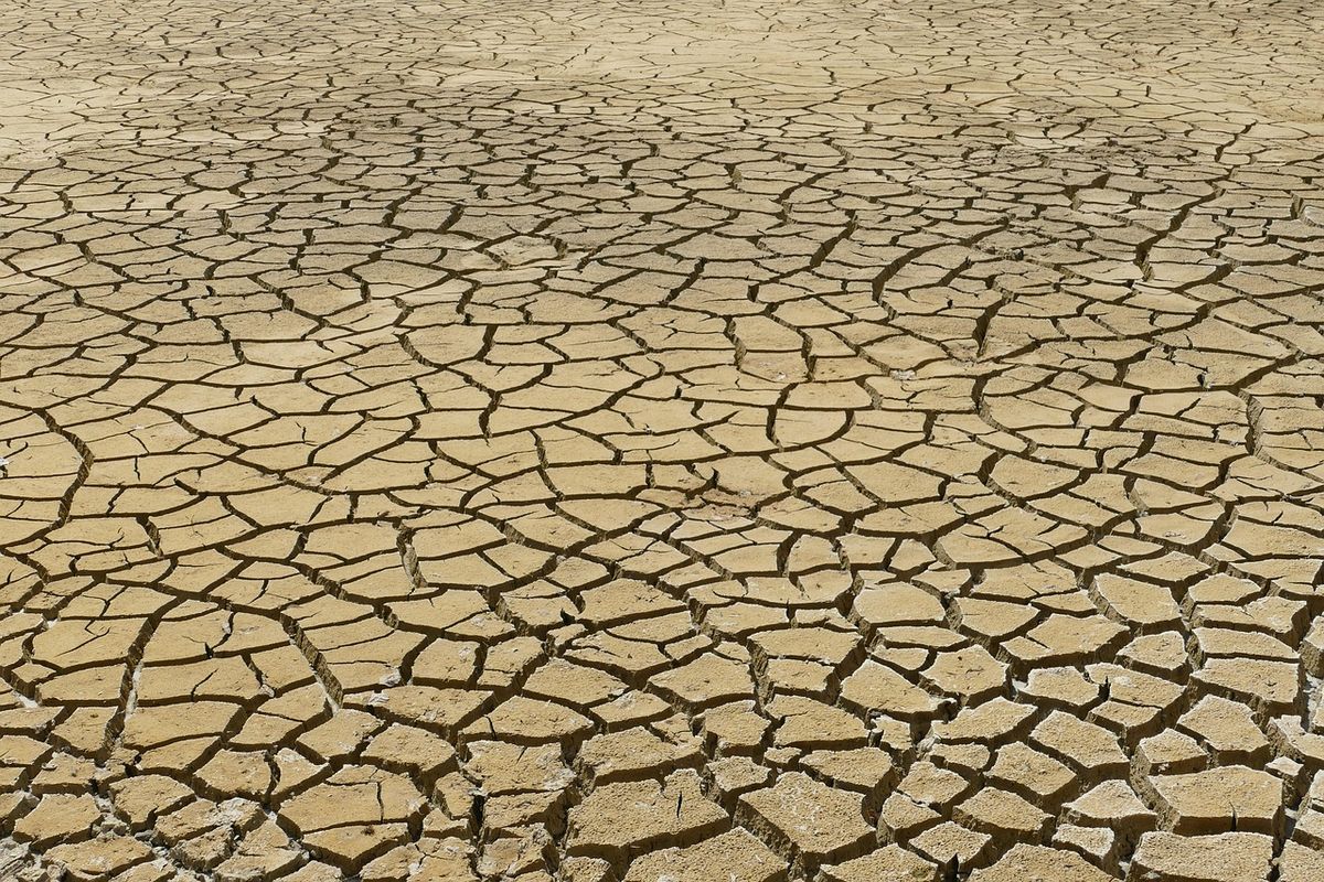 Wie erkenne ich Anzeichen von Dehydration im Körper?