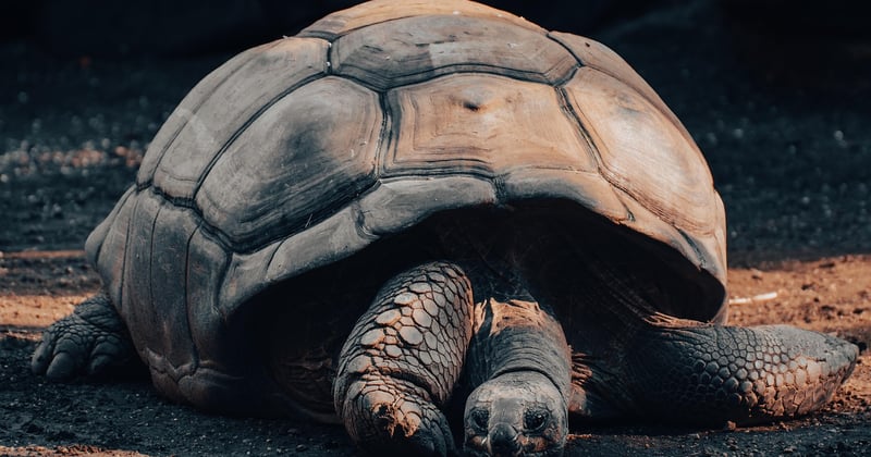 Galapagos Inseln: 7 Geheimtipps für deine Traumreise