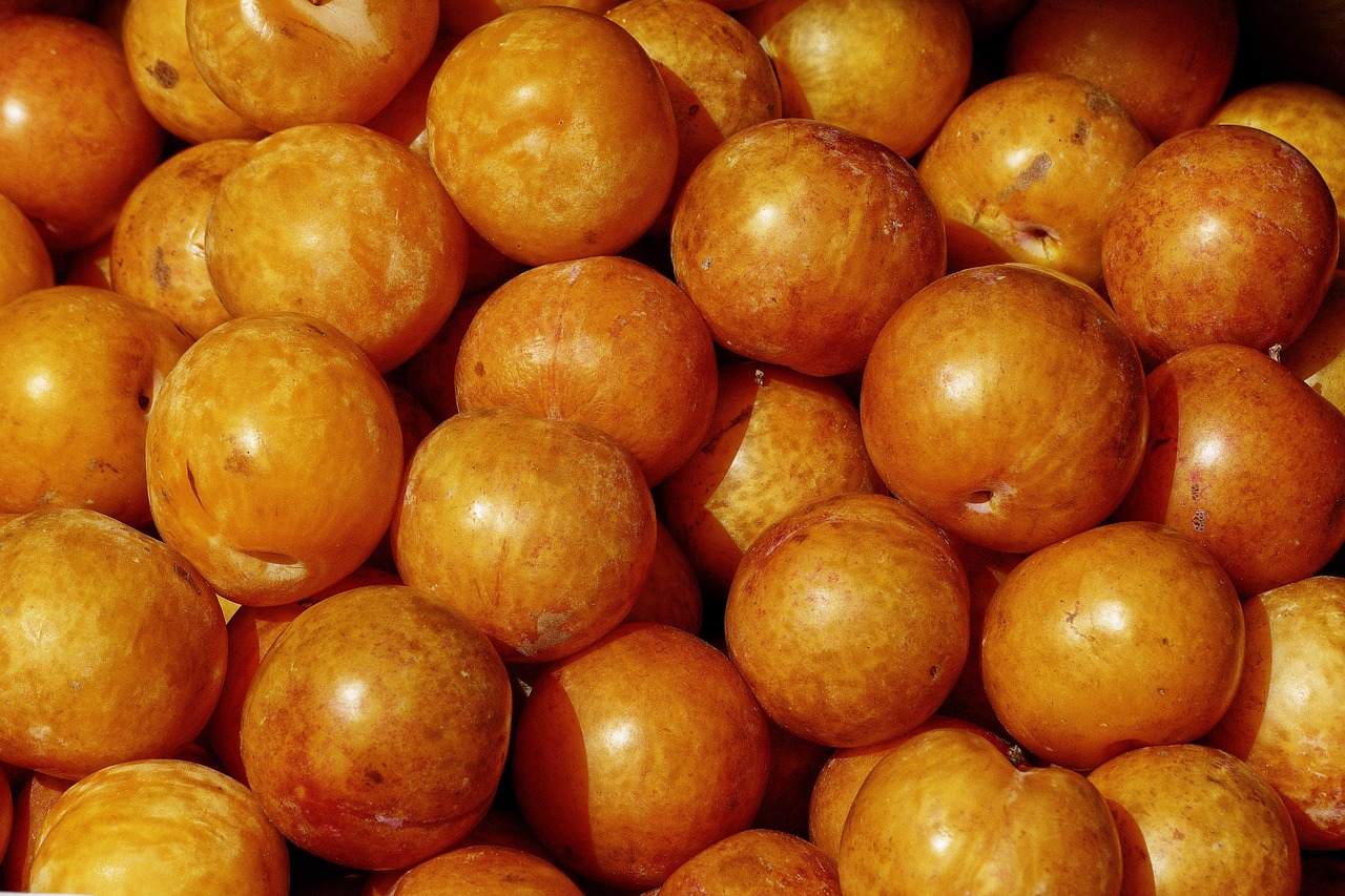 entdecken sie effektive lokale marketingstrategien, um ihr unternehmen vor ort bekannt zu machen. tipps, tools und best practices für erfolgreiches local marketing in ihrer region.